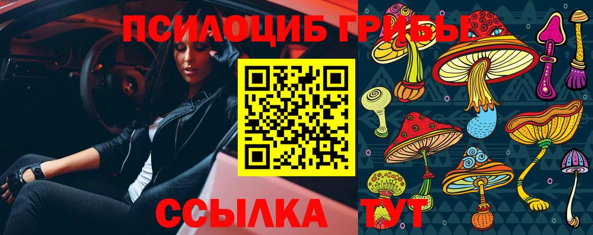 где можно купить наркотик  Галлюциногенные грибы мицелий  Славгород  Вход с VPN  Галлюциногенные грибы Magic Shrooms 