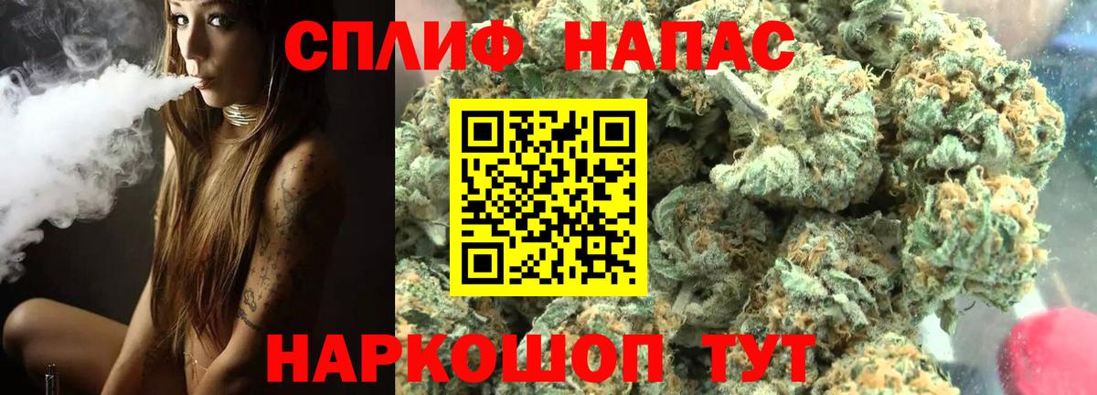 Канабис конопля  Конопля конопля  Славгород  Вход с VPN  Бошки марихуана планчик  Марихуана MAZAR 